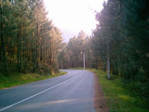 IMAG0071