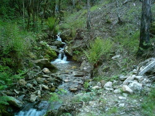 IMAG0089