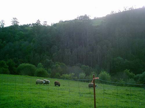 IMAG0090