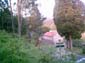 IMAG0079
